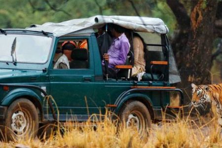 Golden Triangle Tour With Ranthambore